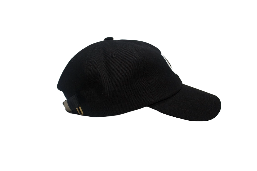 Trident Dad Hat